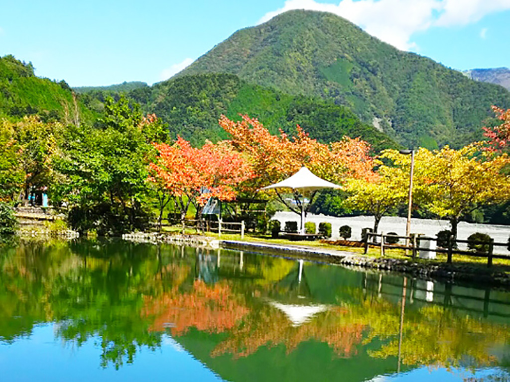 井川湖周辺の紅葉