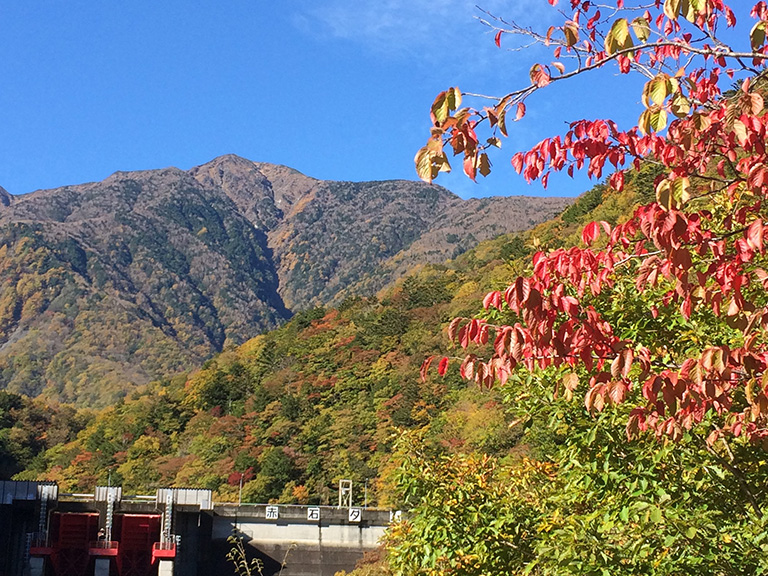 椹島ロッヂ周辺の紅葉