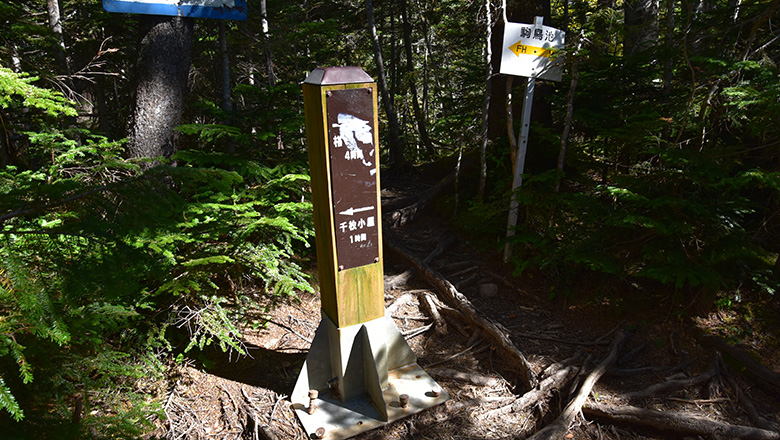 初めての南アルプス南部登山