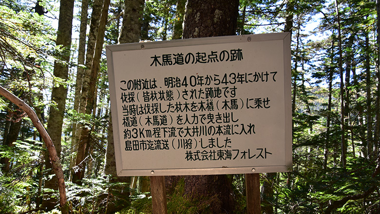 初めての南アルプス南部登山