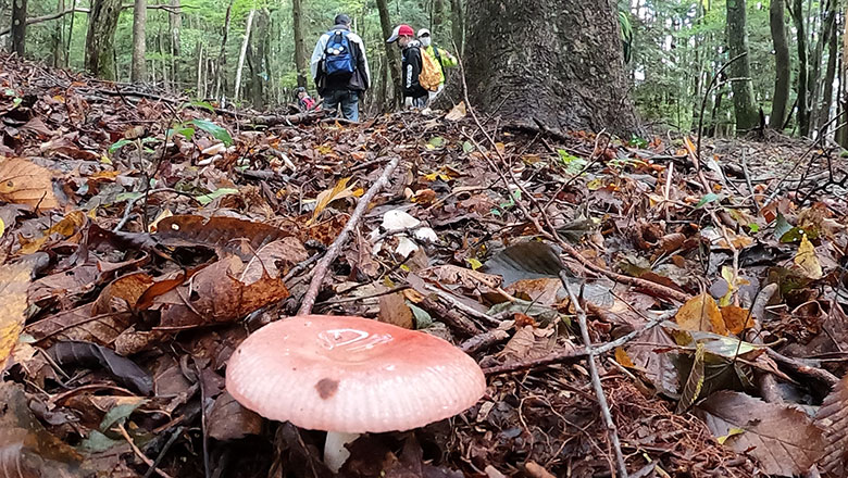 リバウェル井川　秋の野山探索とクラフト体験