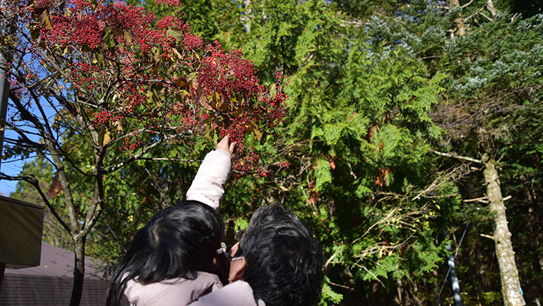 井川de秋の山登り