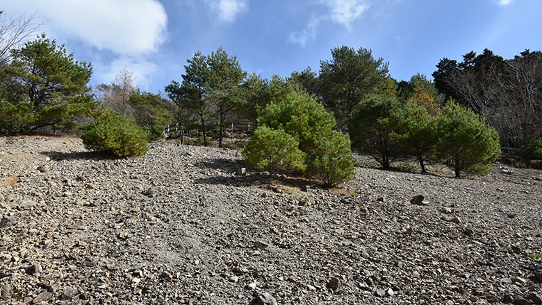 井川de秋の山登り