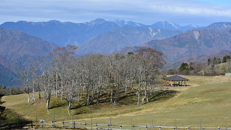 井川de秋の山登り