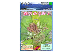 からまつ平成30年度5月号