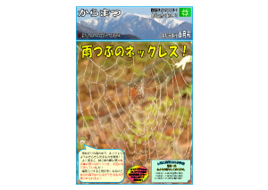 からまつ令和元年度6月号