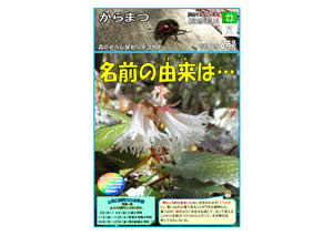 からまつ令和3年度6月号